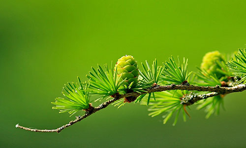 如何寻找大学生兼职工作