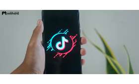 农村电商市场的创新之路，蓬勃发展与亮点凸显